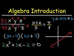 "Mastering Algebra: A Step-by-Step Guide for Beginners" 1 download 2025 03 10T203705.658
